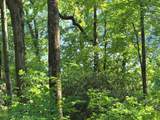 Lot 22 Panther Ridge Road - Photo 7