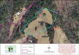 TBD Cattle Dr. - Photo 9