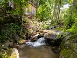 31 Bold Creek Trail - Photo 42