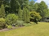 31 Bold Creek Trail - Photo 59