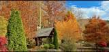 31 Bold Creek Trail - Photo 61