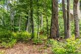 Lot 4 Laurel Drive - Photo 3