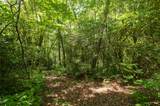 Lot 14 Streamside Drive - Photo 4