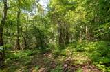 Lot 14 Streamside Drive - Photo 6