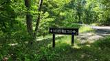 Lot 70 Firesong Lane - Photo 9