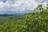 Lot E4 New Settler's Way - Photo 7