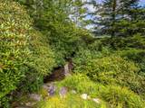 770 Meadow Ridge Drive - Photo 44