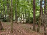 E49r Cold Mountain Road - Photo 8
