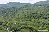 Lot 2 Trillium Ridge Road - Photo 12