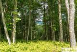 Lot 98 Blazing Star Drive - Photo 8