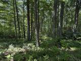 239 Cross Vine Drive - Photo 11