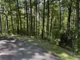239 Cross Vine Drive - Photo 2