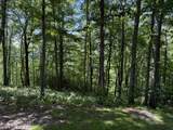 239 Cross Vine Drive - Photo 3