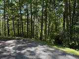 239 Cross Vine Drive - Photo 5