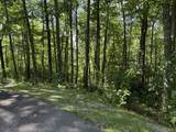 239 Cross Vine Drive - Photo 7