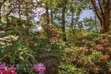 61 Moonstone Loop - Photo 83