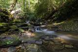 180 Haven Ridge Road Trail - Photo 50