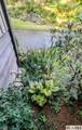 270 Whitewater Church Road - Photo 63