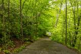 Lot 5 Woods Mountain Trail - Photo 14