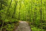 Lot 5 Woods Mountain Trail - Photo 16