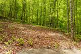 Lot 5 Woods Mountain Trail - Photo 17