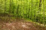 Lot 5 Woods Mountain Trail - Photo 18