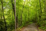 Lot 5 Woods Mountain Trail - Photo 19