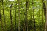Lot 5 Woods Mountain Trail - Photo 20