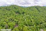 Lot 5 Woods Mountain Trail - Photo 6