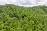 Lot 13 Shepherds Gap Road - Photo 12