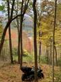 Lot 13 Shepherds Gap Road - Photo 21