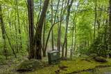 Lot 13 Shepherds Gap Road - Photo 6
