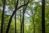 Lot 13 Shepherds Gap Road - Photo 7
