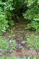 Lot 6 Woods Mountain Trail - Photo 14