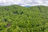 Lot 6 Woods Mountain Trail - Photo 8
