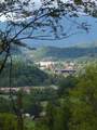 16 Rustling Woods Trail - Photo 4