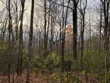 Lot 12 Silly Ridge - Photo 9