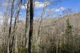 Lt D64 Rye Mountain Drive - Photo 10