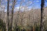 Lt D64 Rye Mountain Drive - Photo 16