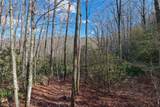 Lt D64 Rye Mountain Drive - Photo 9