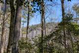 172 Lonesome Valley Road - Photo 13