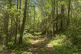 TBD Hwy 107 - Photo 10