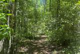 TBD Hwy 107 - Photo 12