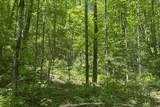 TBD Hwy 107 - Photo 13