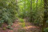 TBD Hwy 107 - Photo 20