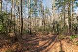 Lot 67 Big Pine Road - Photo 7