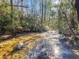 1514 Christy Trail - Photo 51