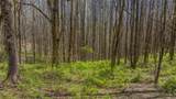 LOT 35 Thomas Knob Estates Road - Photo 10