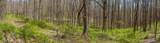 LOT 35 Thomas Knob Estates Road - Photo 11