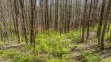 LOT 35 Thomas Knob Estates Road - Photo 12